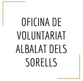 voluntariado